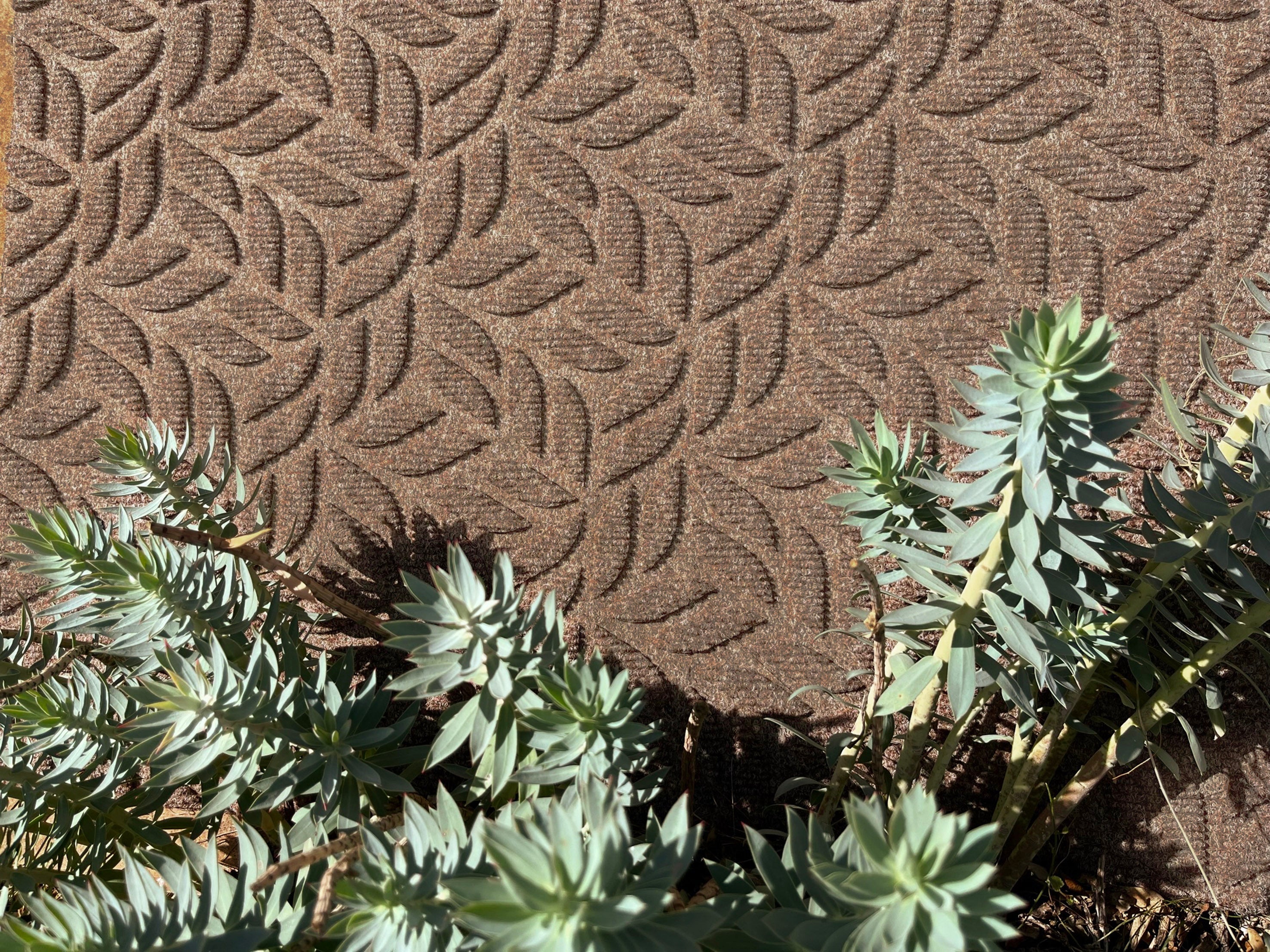Leaves Taupe 60x90 cm