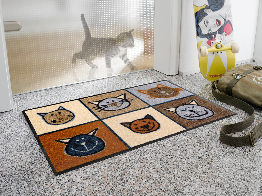 Miau Miau 50x75 cm
