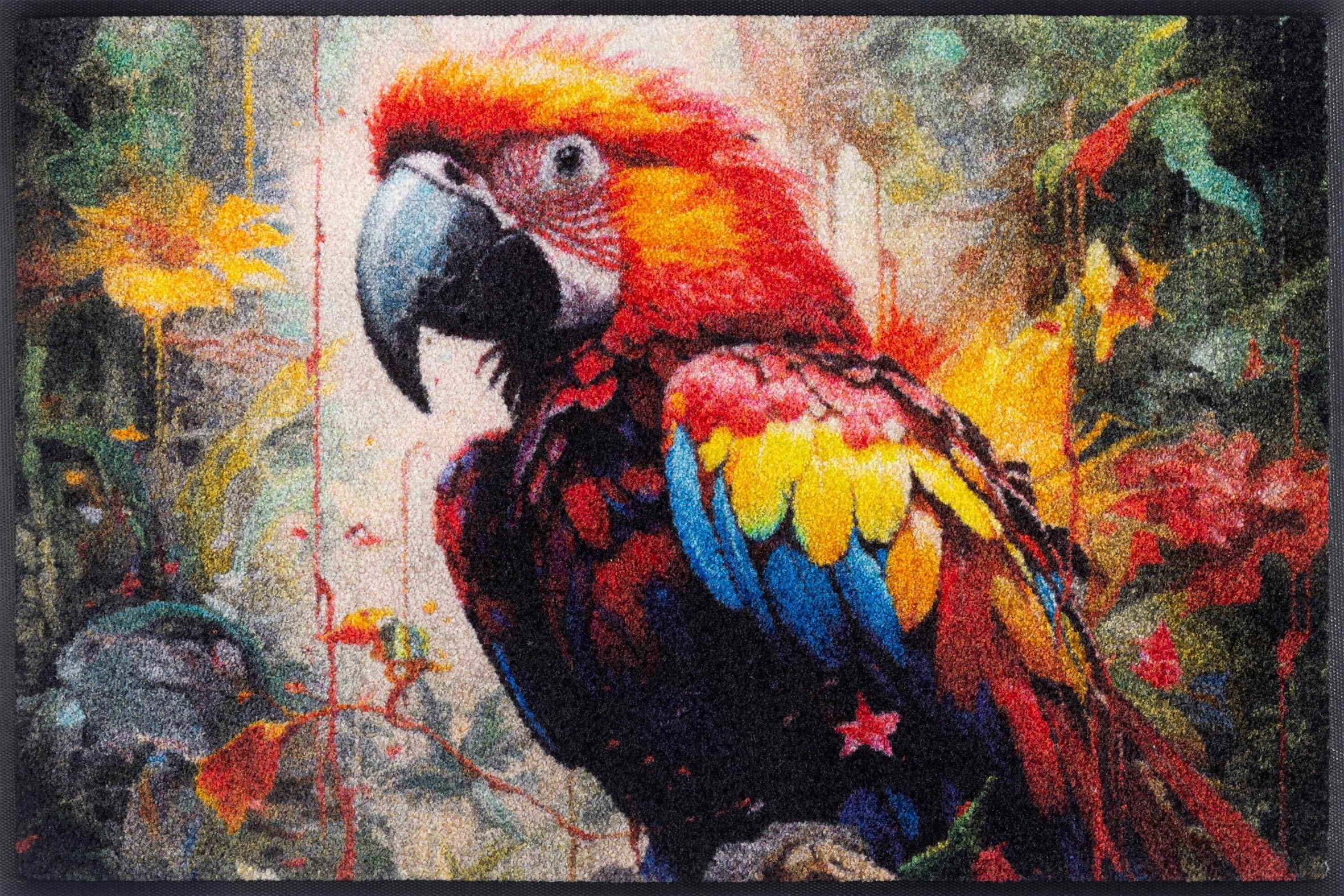 Parry McParrot 50x75 cm
