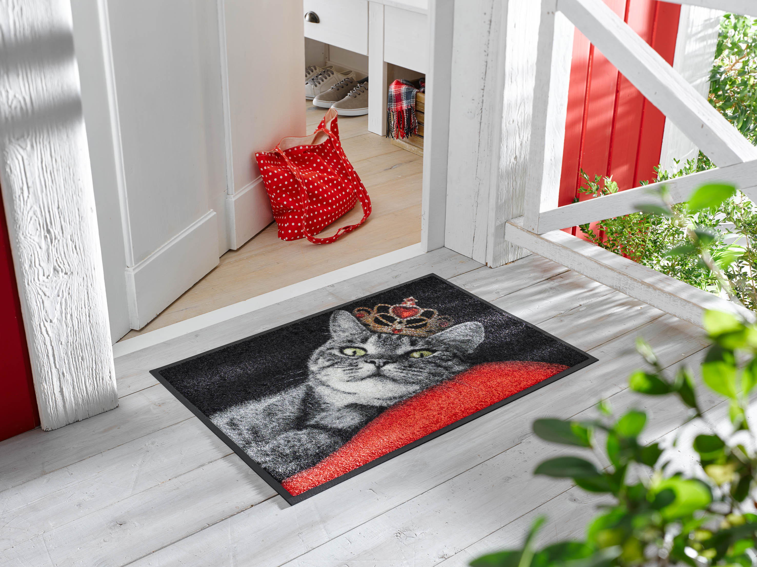 Royal Cat 50x75 cm