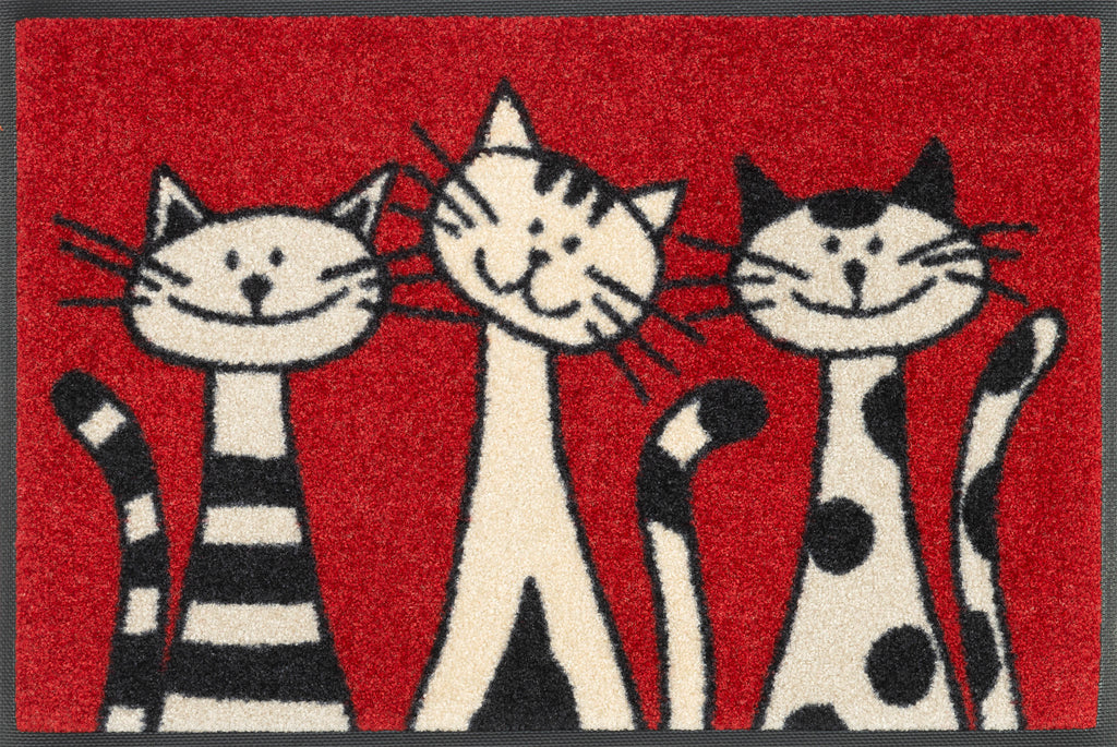 Three Cats 40x60 cm