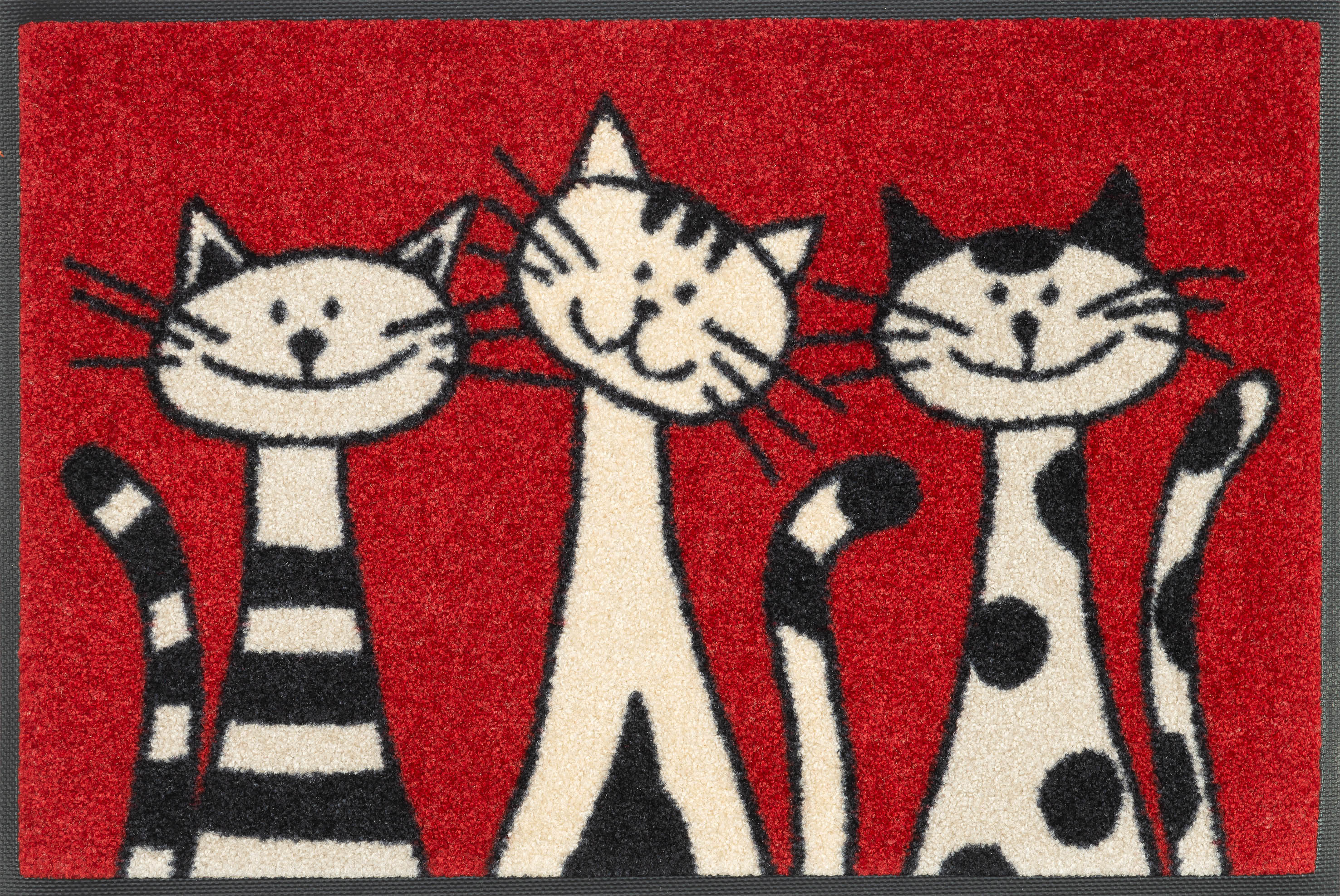 Three Cats 40x60 cm