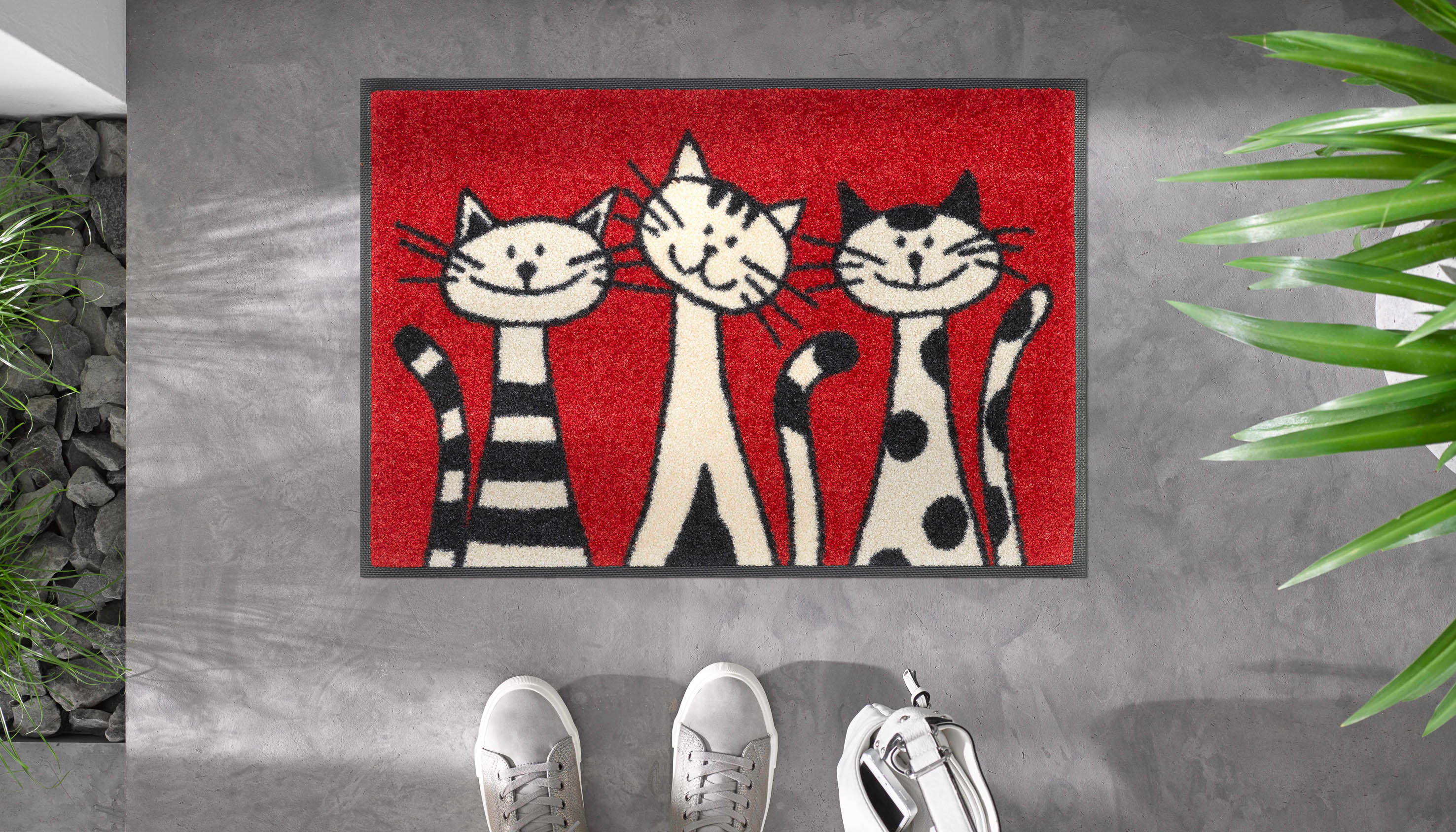 Three Cats 40x60 cm