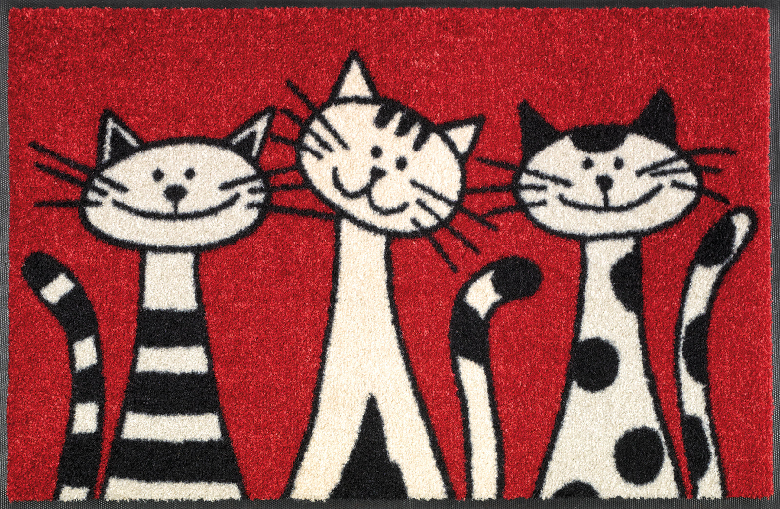 Three Cats 50x75 cm