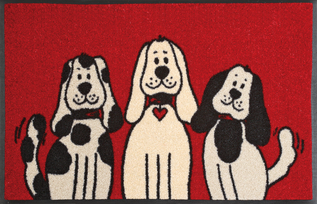 Three Dogs 50x75 cm