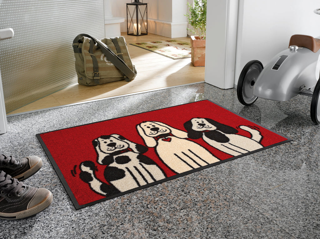 Three Dogs 50x75 cm