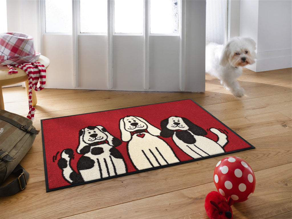 Three Dogs 50x75 cm