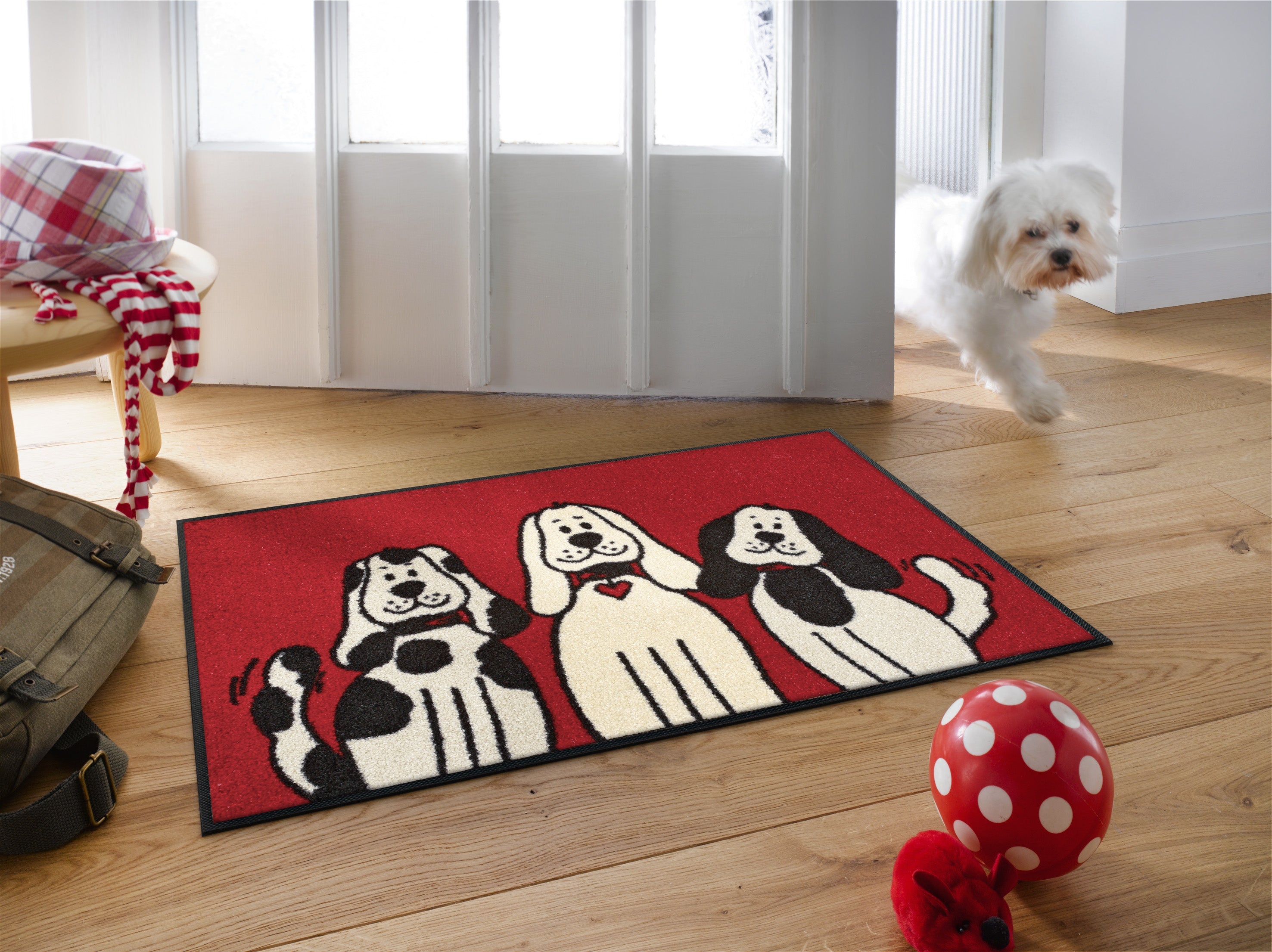 Three Dogs 50x75 cm