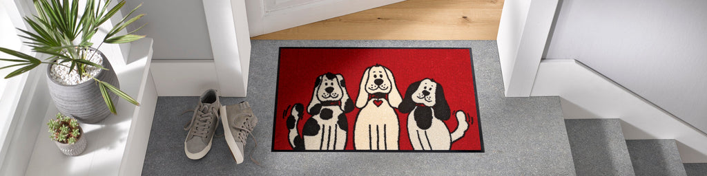 Three Dogs 50x75 cm