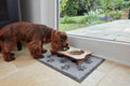 Paws Grey 40x60 cm